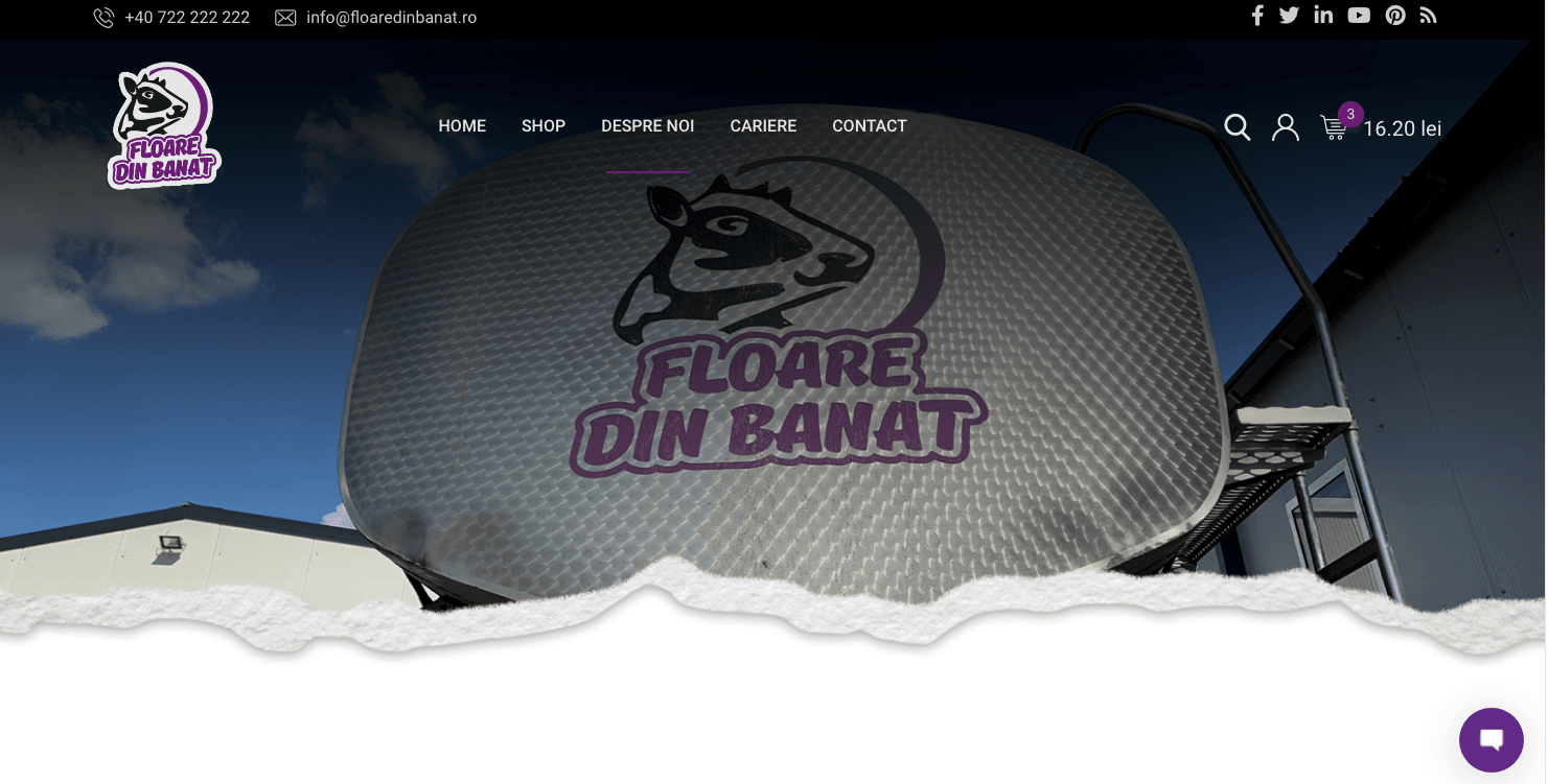 floare din banat product